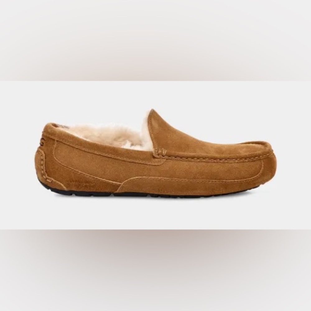 Ascot Slipper (Men)